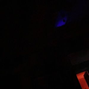 Meet your Posher, Frank